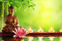 Tìm hiểu Tham Sân Si trong Phật giáo